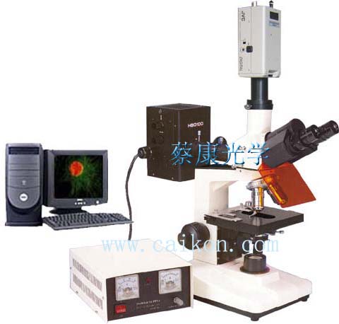 蔡康正置熒光顯微鏡DFM-30C