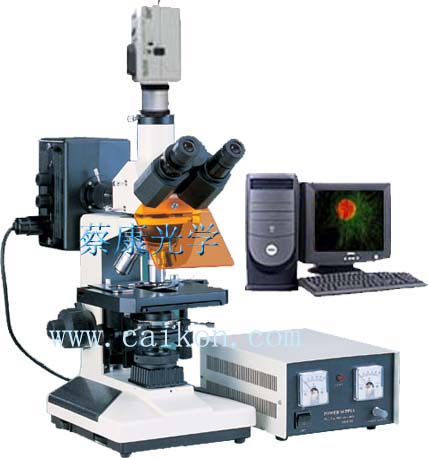 蔡康正置熒光顯微鏡DFM-40C