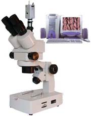 蔡康體視顯微鏡XTL-3300C