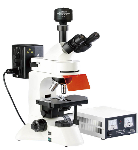 蔡康正置LED熒光顯微鏡DFM-66C